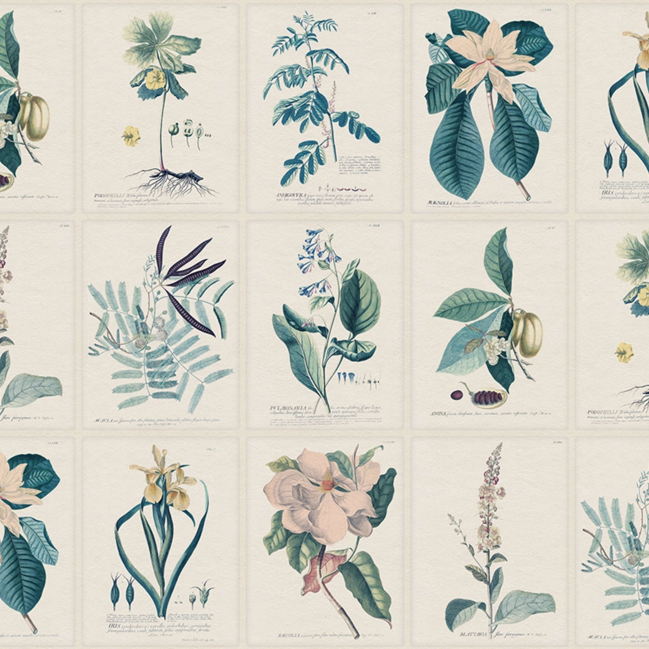 Fototapet lavabil, Flora, Blue, Sandberg - 2