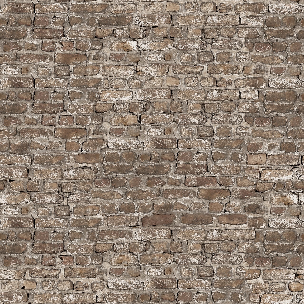 Fototapet, Leiria, Sand, Rebel Walls - 2
