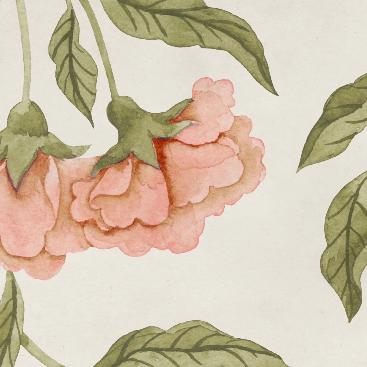 Fototapet, Peony Bloom, Pink, Rebel Walls - 4