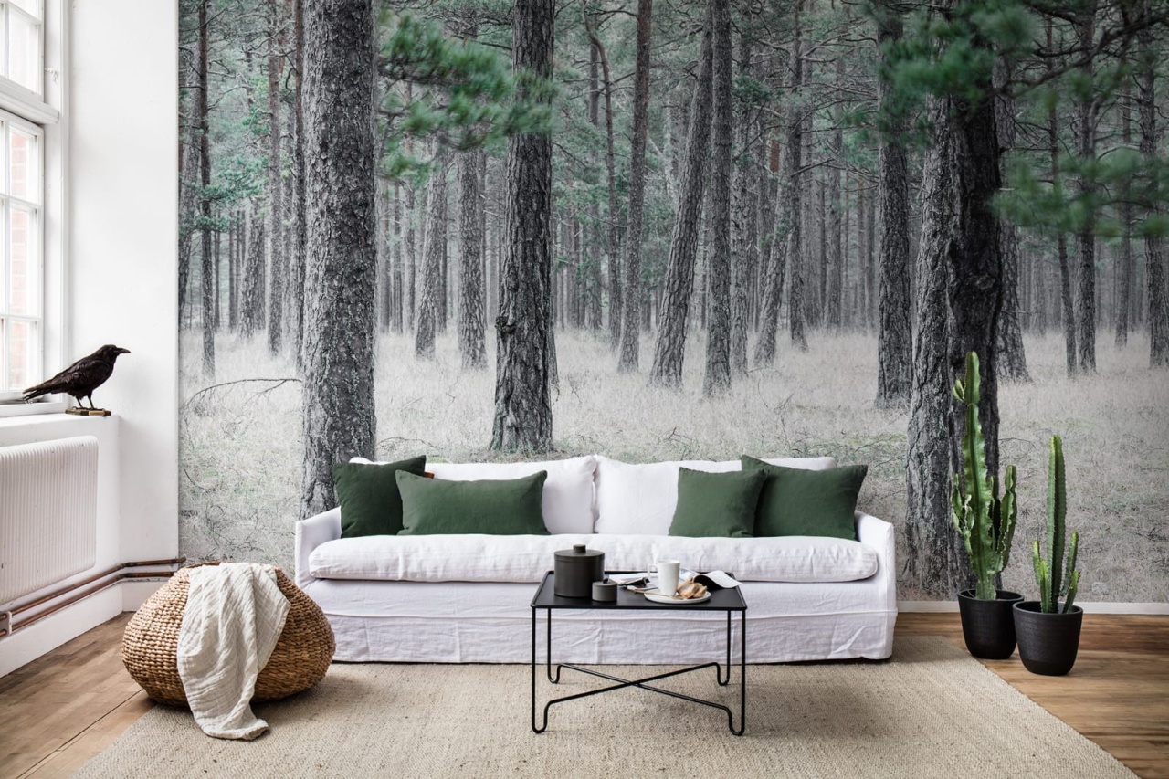 Fototapet, Pine Forest, Rebel Walls