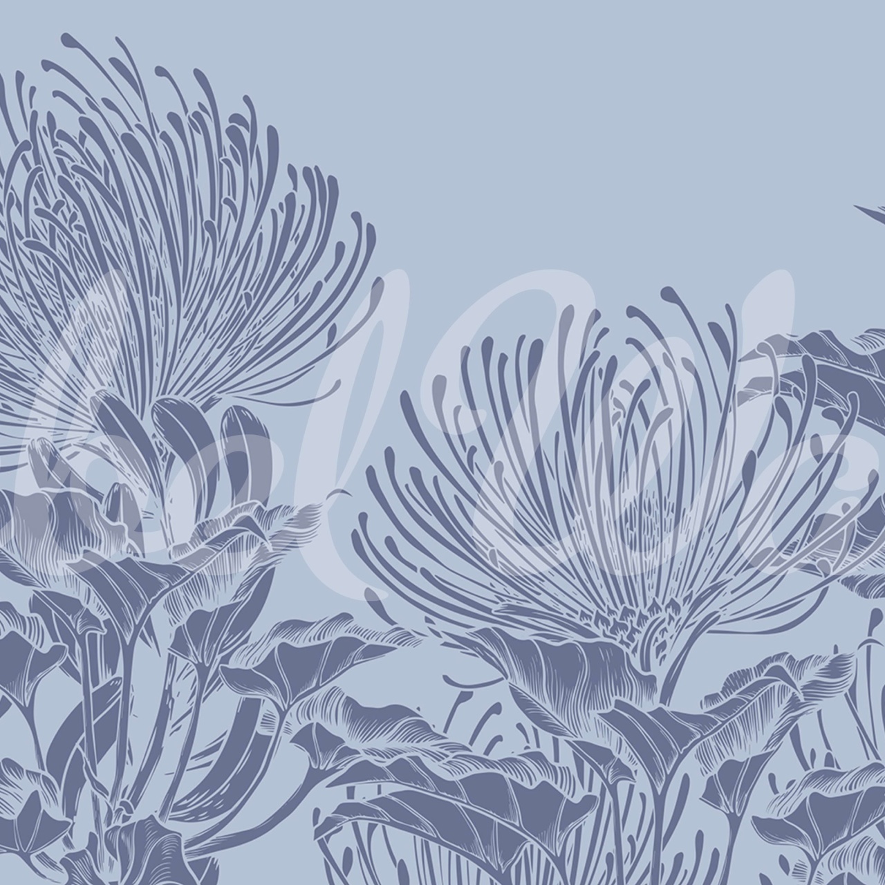 Fototapet, Protea Bloom, Soft Blue, Rebel Walls - 2