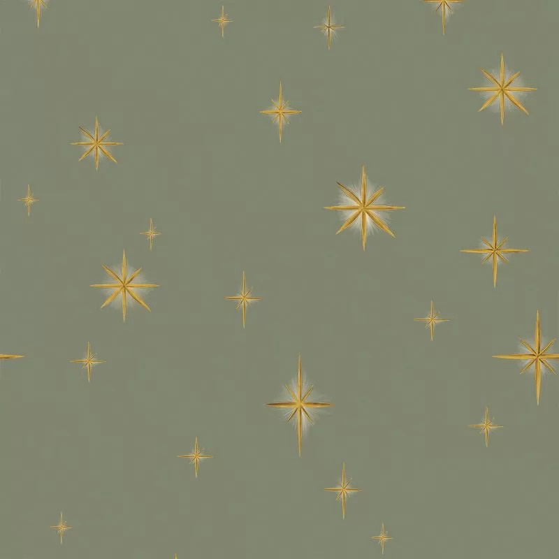 Fototapet Stars Olive Classic, VLAdiLA - 2