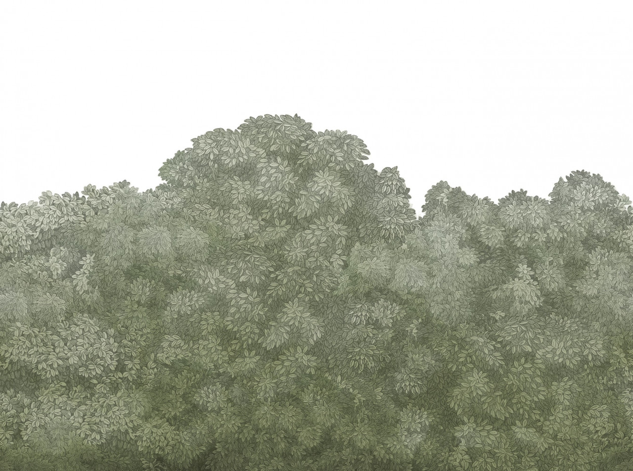 Tapet Belle Buisson, Green, Rebel Walls - 1 | YEO