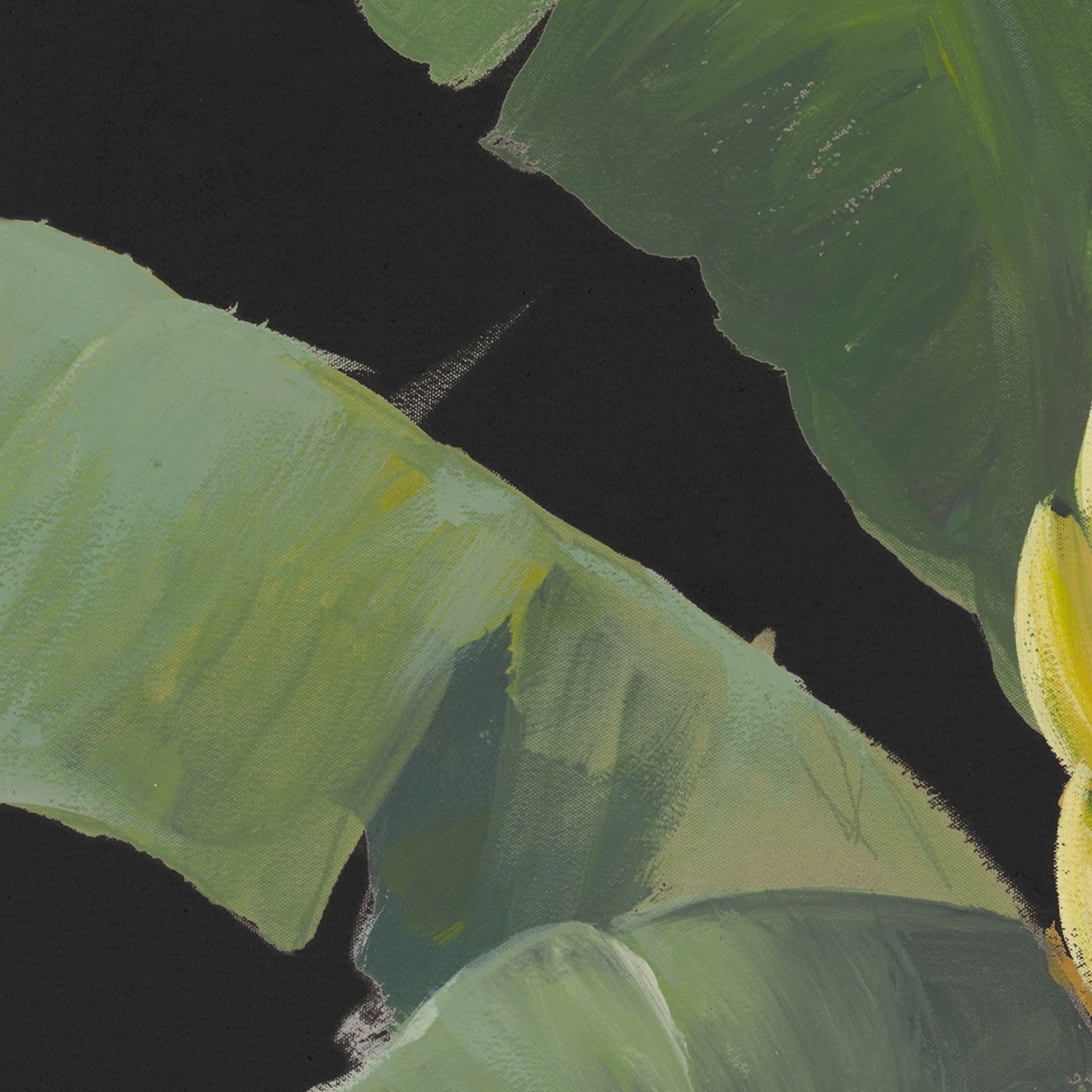 Fototapet, Banana Leaf, Black, Rebel Walls - 4