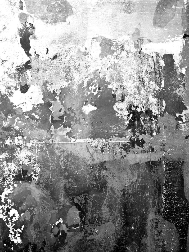 Fototapet, Charcoal, Rebel Walls - 2