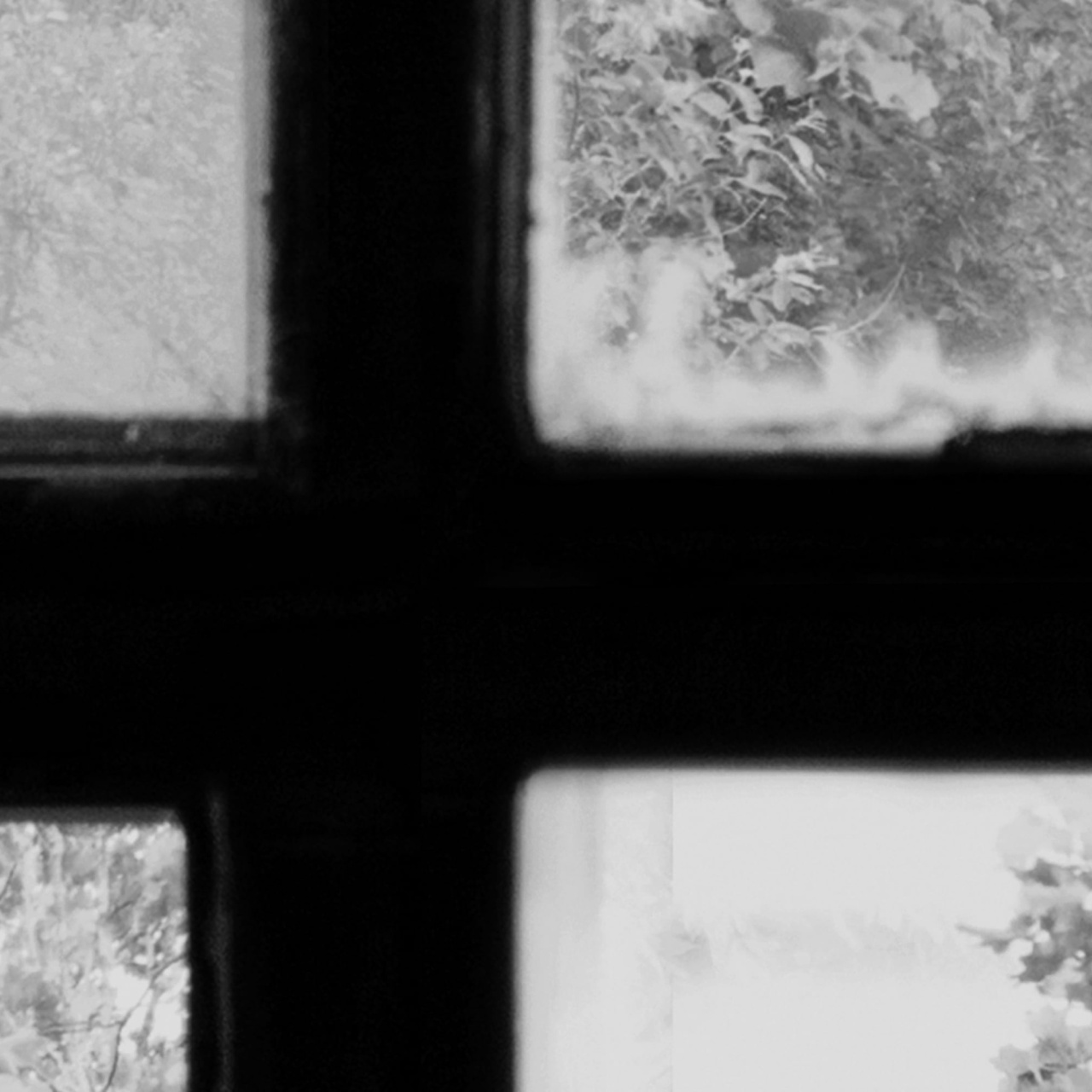 Fototapet, Factory Window, Graphite, Rebel Walls - 4