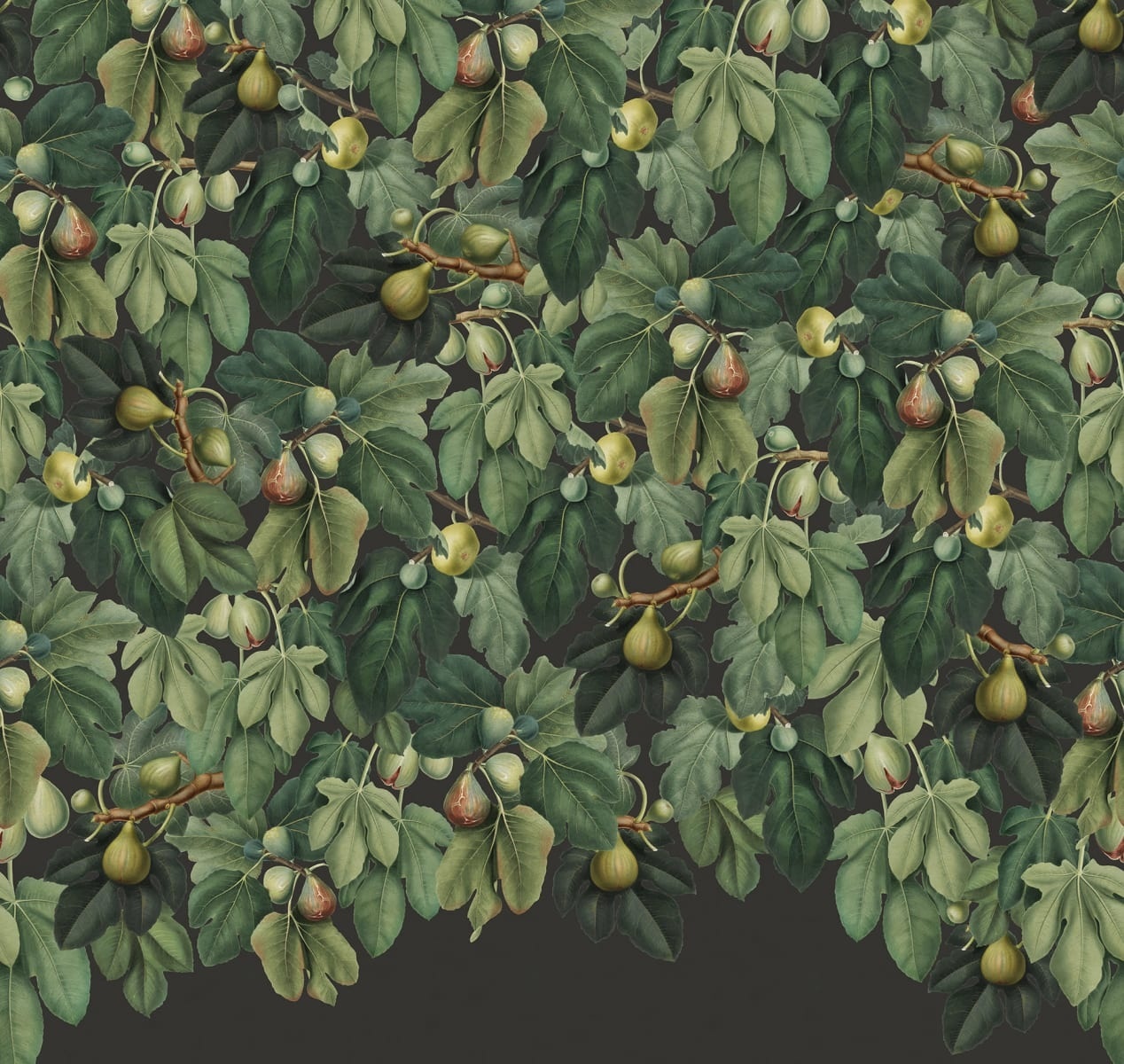 Fototapet, Fig Tree, Lush, Rebel Walls - 2