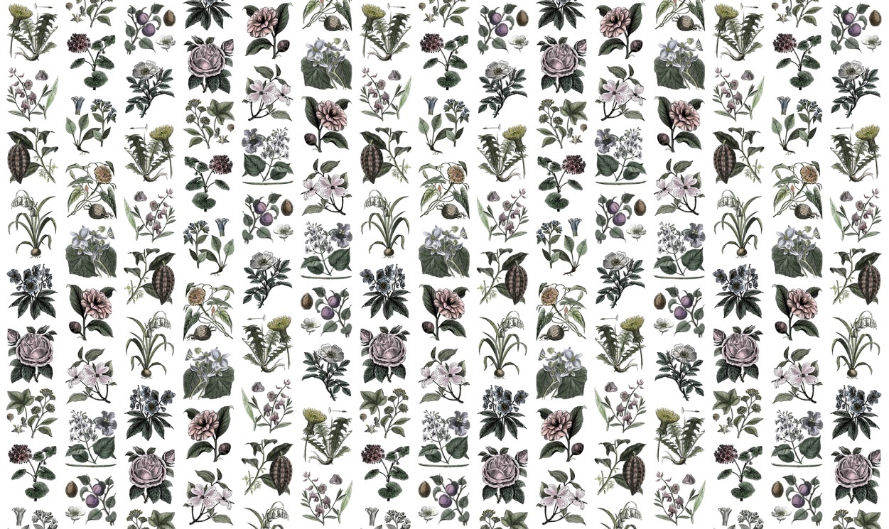 Fototapet, Fruit & Flora, Color, Rebel Walls - 3
