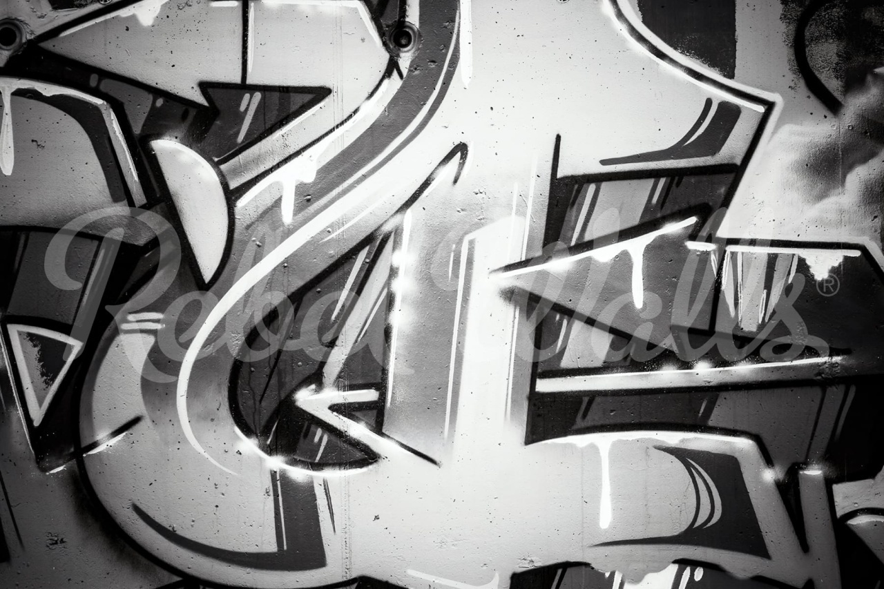 Fototapet, Graffiti Wall, Black & White, Rebel Walls - 2