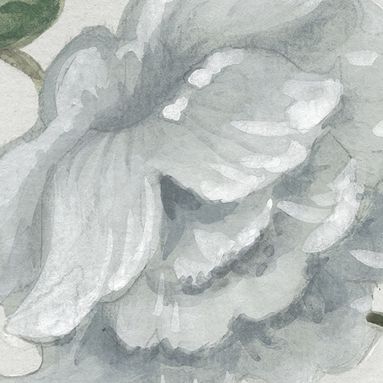 Fototapet, Grandiflora, Pearl, Rebel Walls - 4