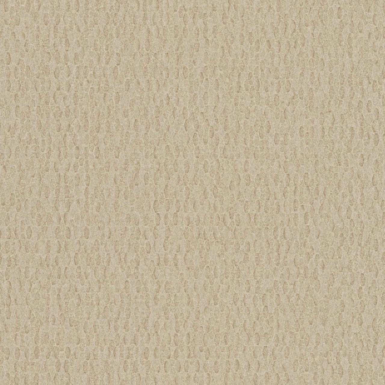Fototapet, Iguana Sand, 6454839, Coordonne