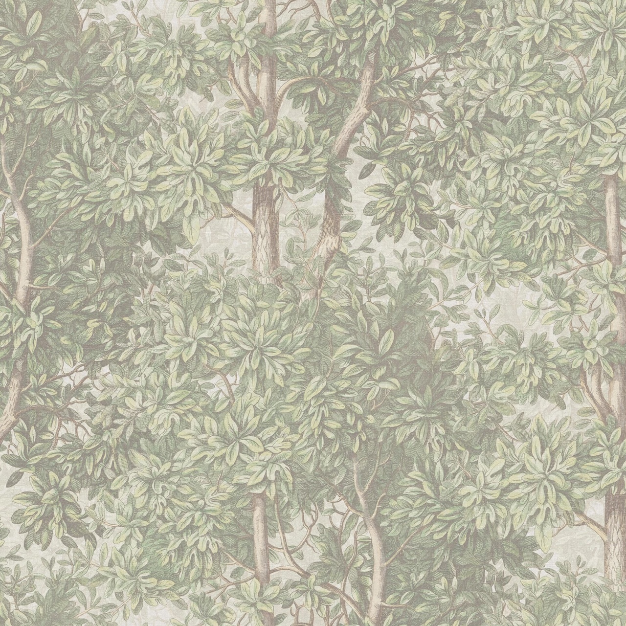 Fototapet lavabil, Charles, Light Green, Sandberg - 2