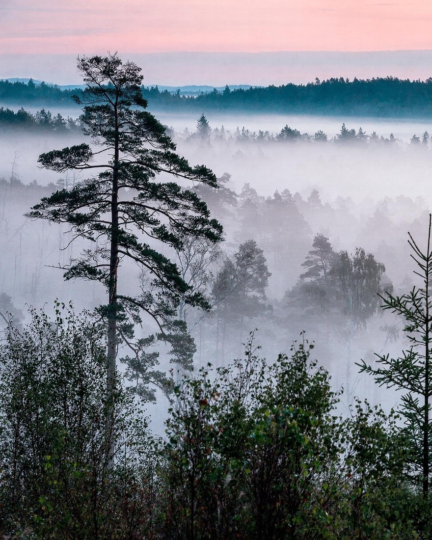 Fototapet lavabil, Marie Mattsson Blå Timmen 9778W — imaginea 6