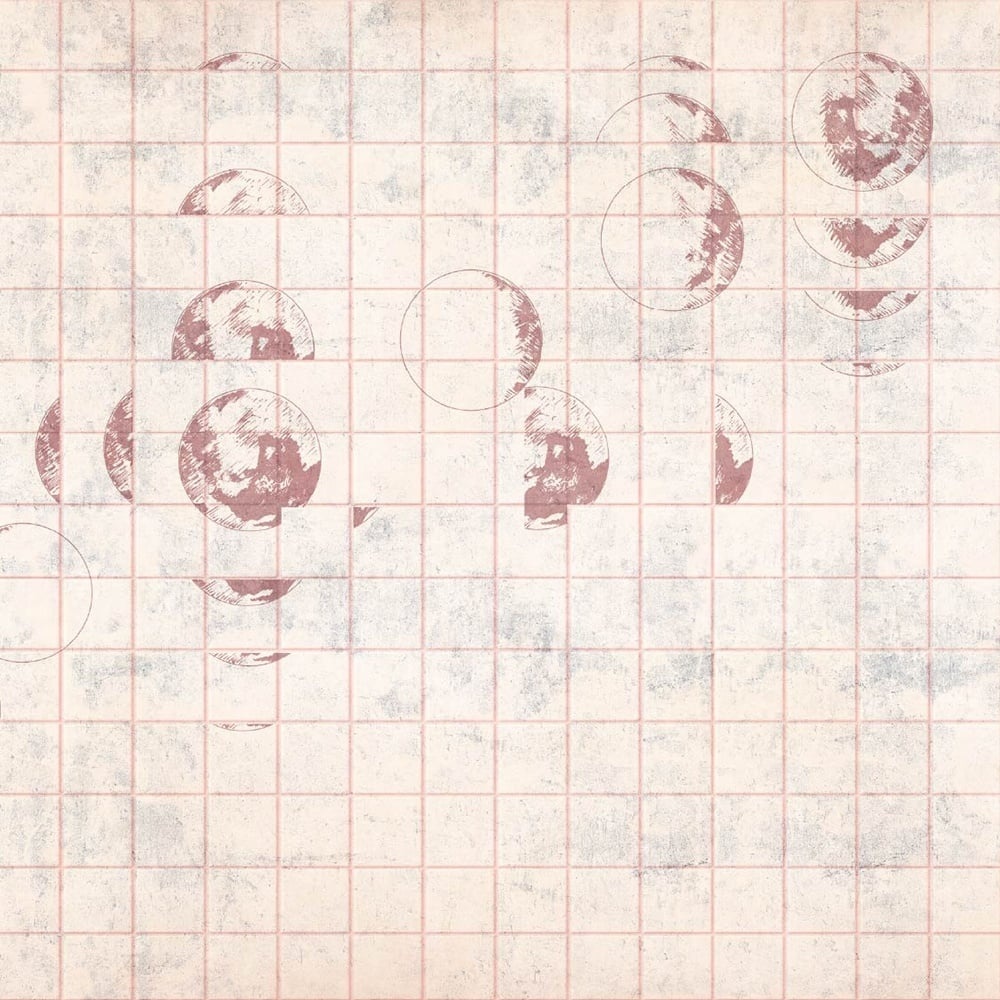 Fototapet Lunar Reverie, Rose - personalizat, VLAdiLA - 5