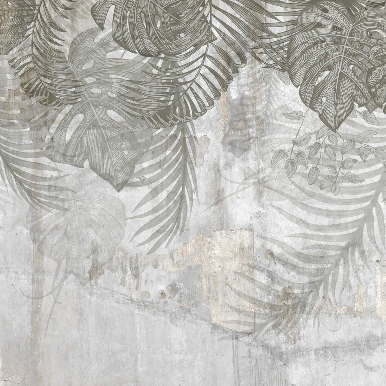 Fototapet, Monstera Wall, Gray, Rebel Walls - 2
