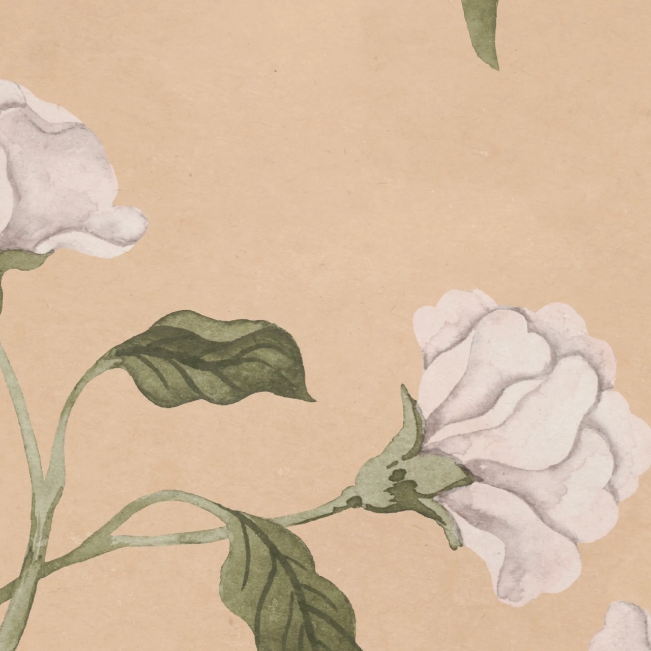 Fototapet, Peony Bloom, Peach, Rebel Walls - 4