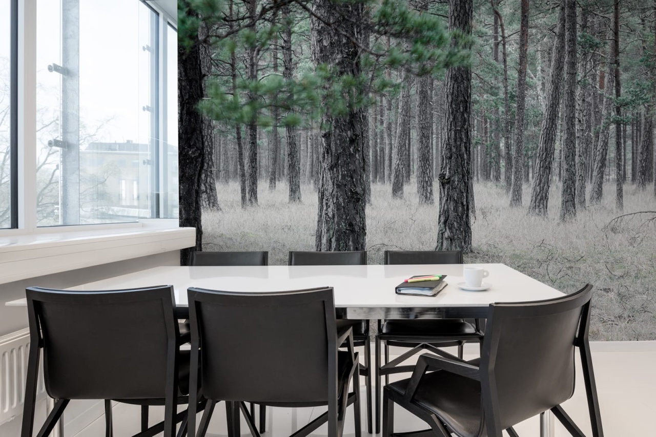 Fototapet, Pine Forest, Rebel Walls - 3