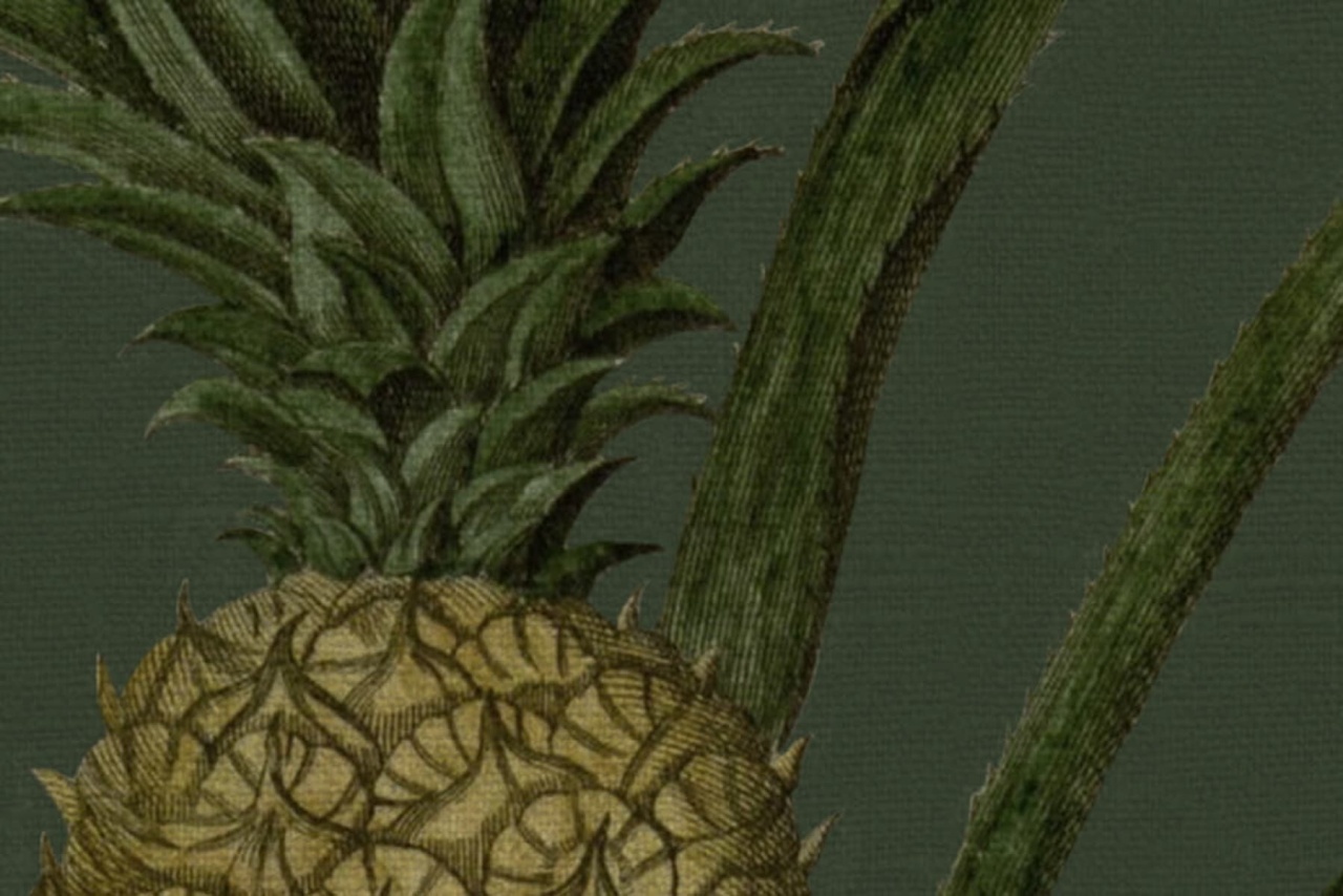 Fototapet, Pineapple, Lush, Rebel Walls - 4