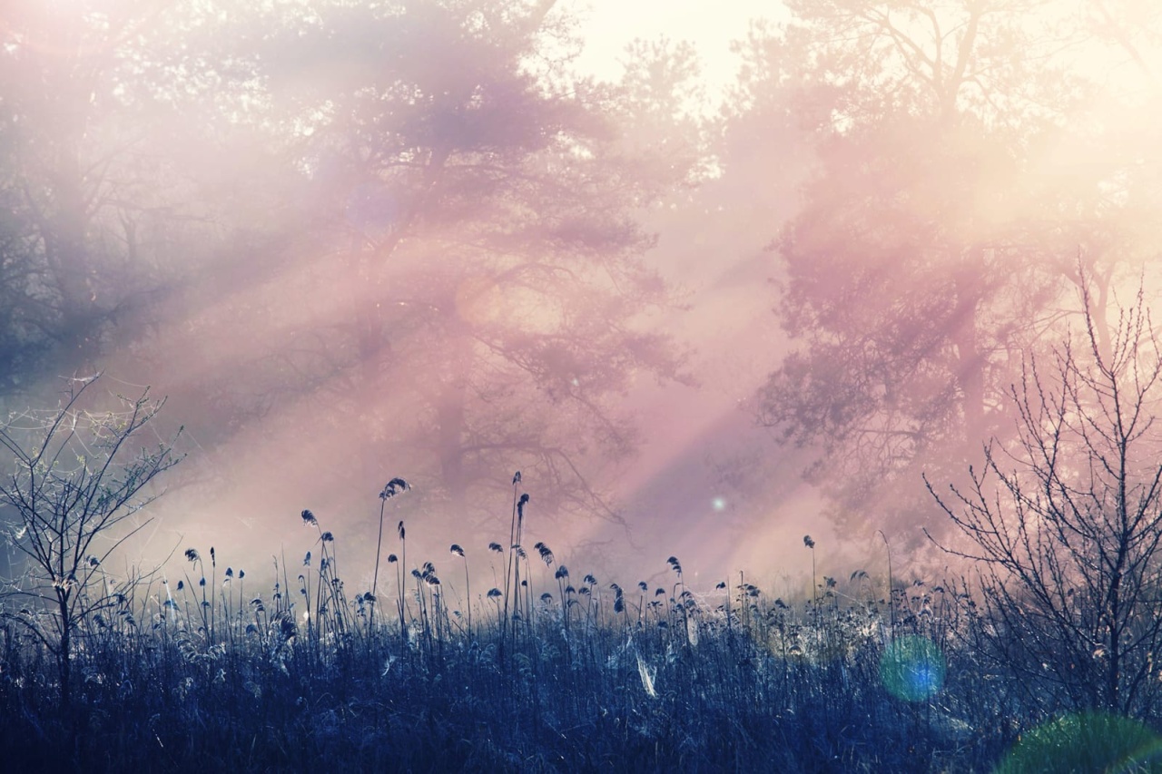 Fototapet, Pink Dawn, Rebel Walls - 2
