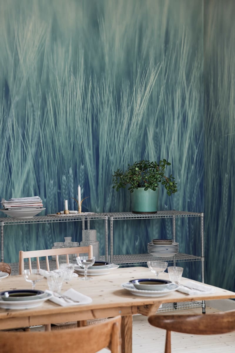 Fototapet, Rye Field, Turquoise, Rebel Walls