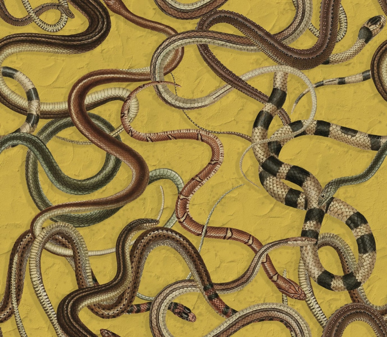Fototapet, Snakey, Yellow, Rebel Walls - 2