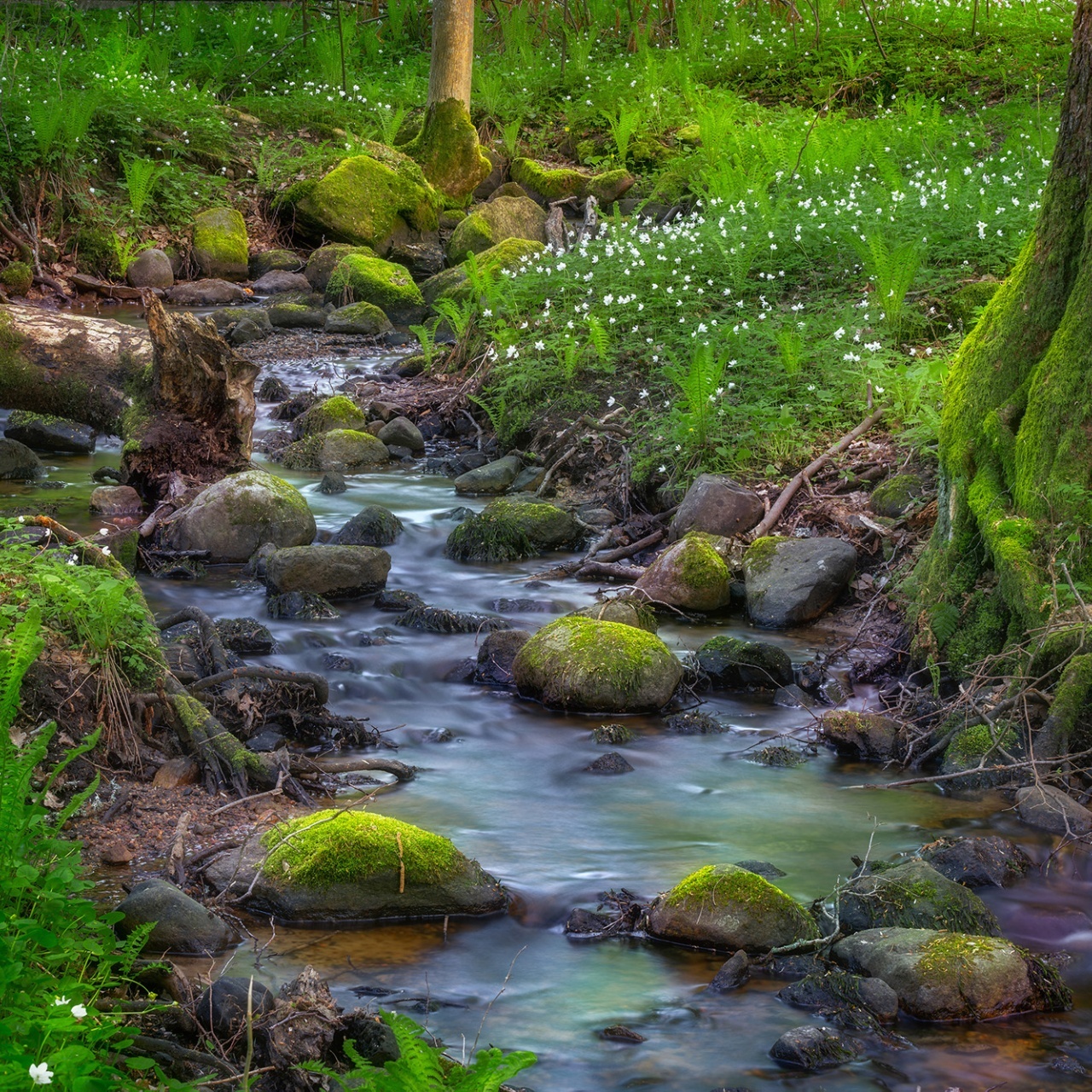 Fototapet, Stream, Rebel Walls - 2