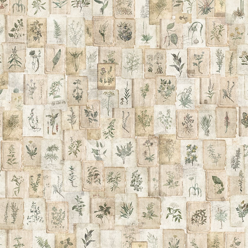 Fototapet Vintage Herbarium, VLAdiLA - 2