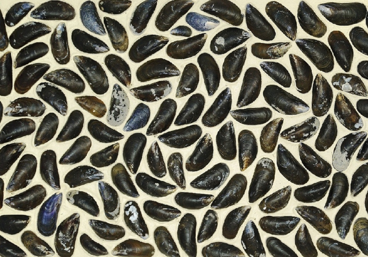 Panou decorativ 3D, Scoici, Dutch Dyke White, 100x100 cm - Img 1