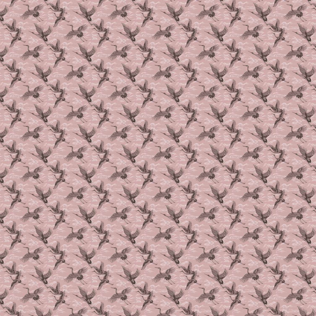 Tapet Imperial Ibis, Rose, Coordonne 5mp / rola - 3