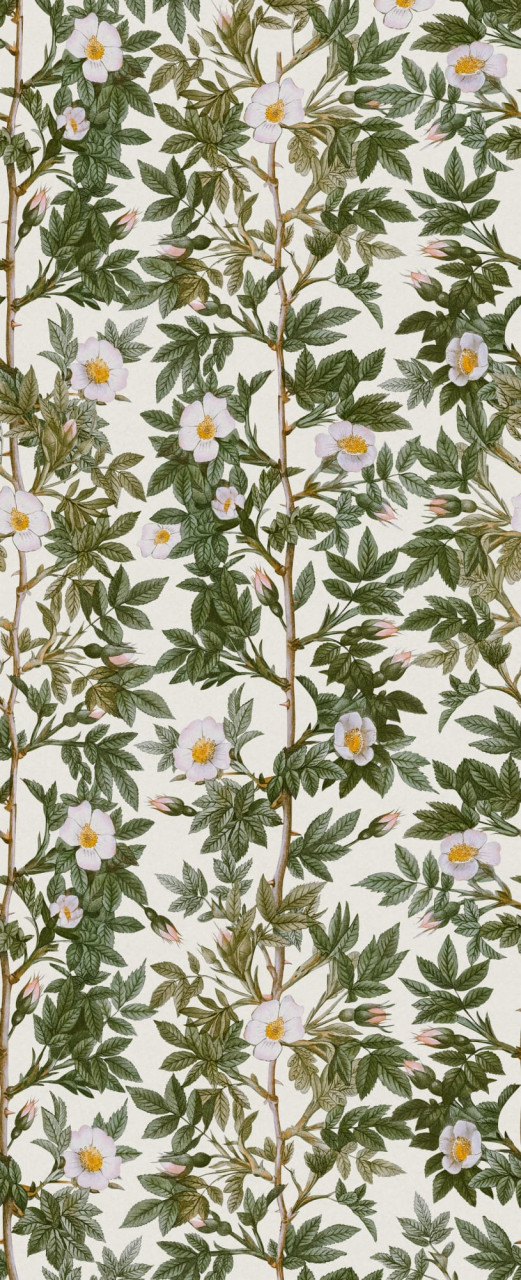 Tapet Rose Hip, Green, Rebel Walls - 1 | YEO