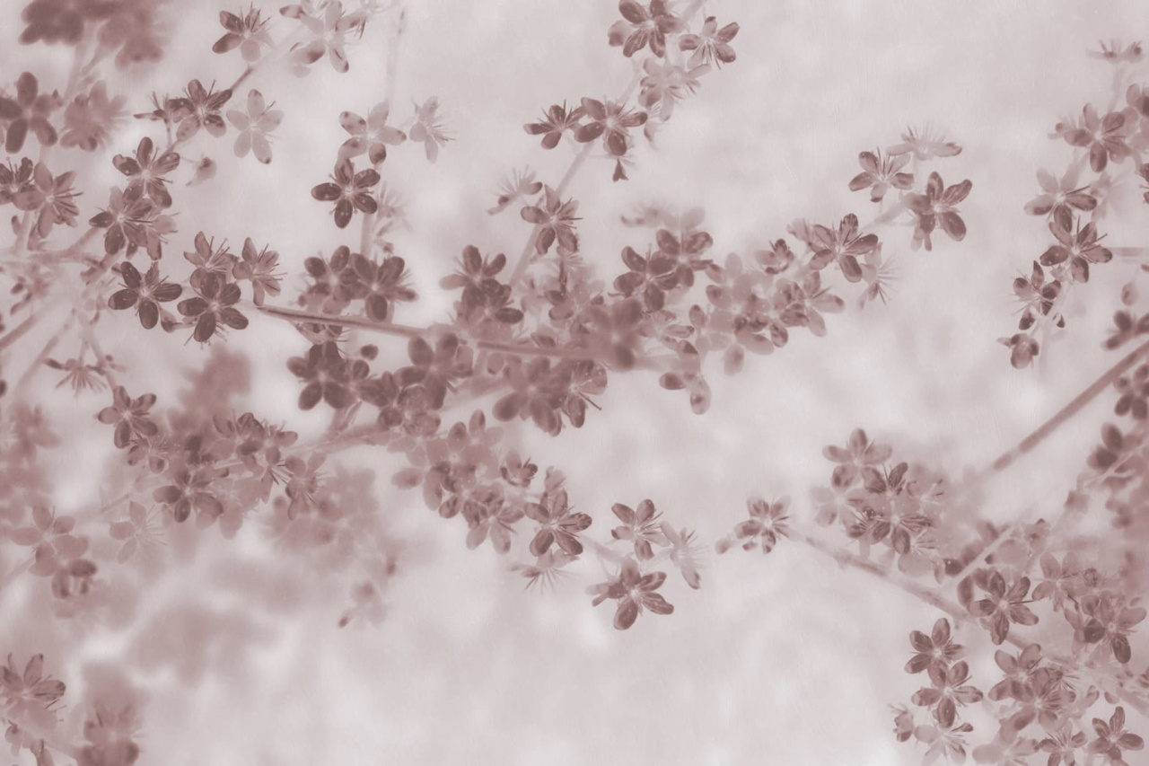 Fototapet, Apple Bloom, Pink, Rebel Walls - 2