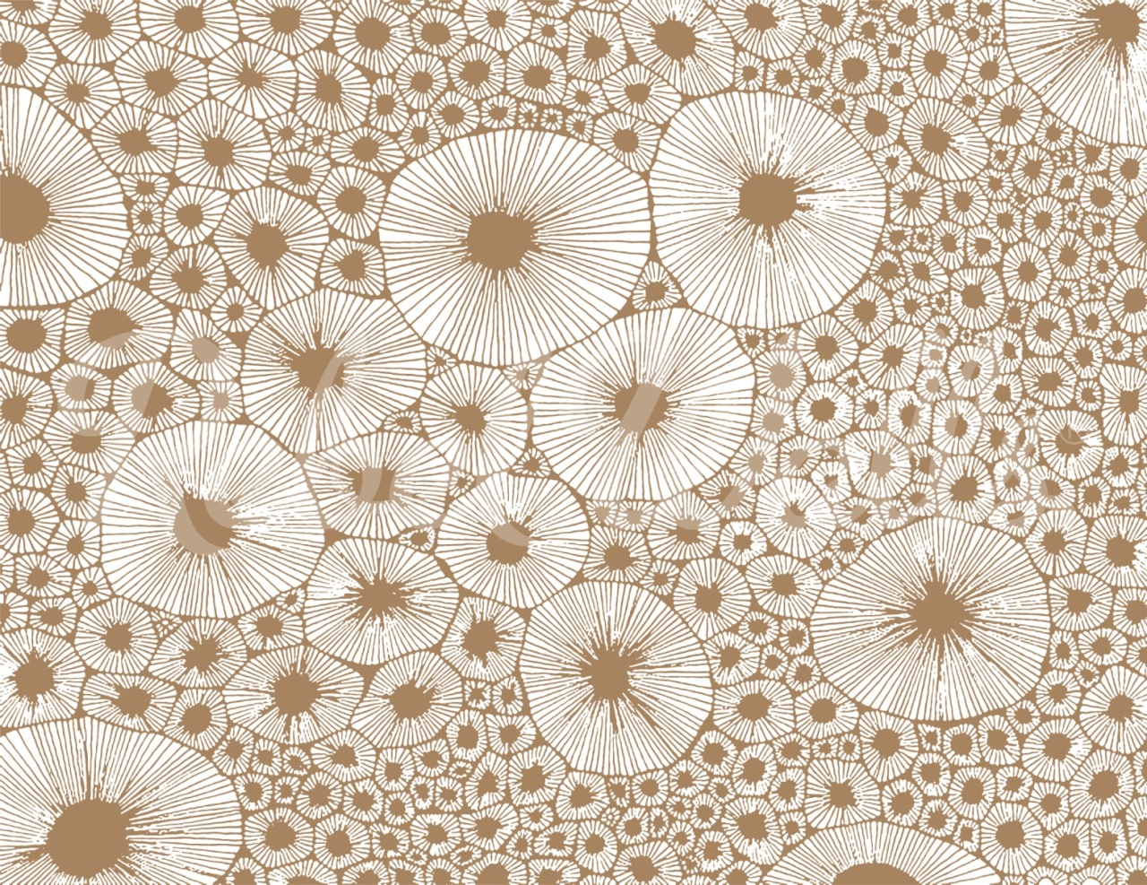 Fototapet, Bold Coral, Brown, Rebel Walls - 2