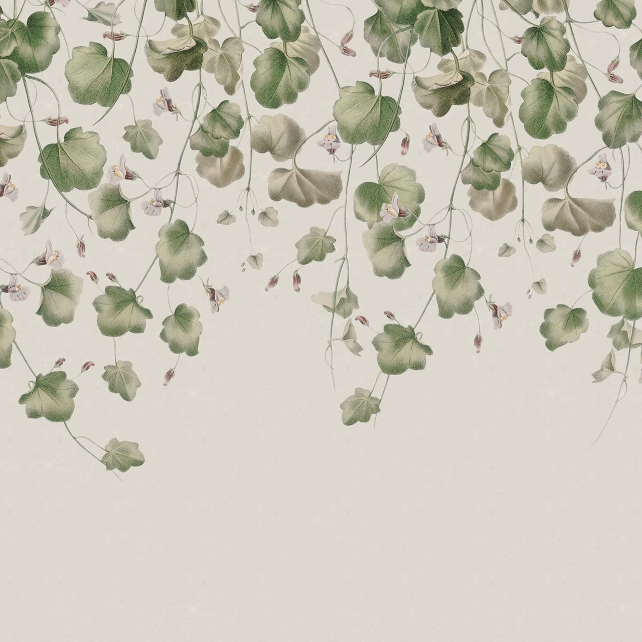 Fototapet, Dangling Ivy, Soft, Rebel Walls - 2