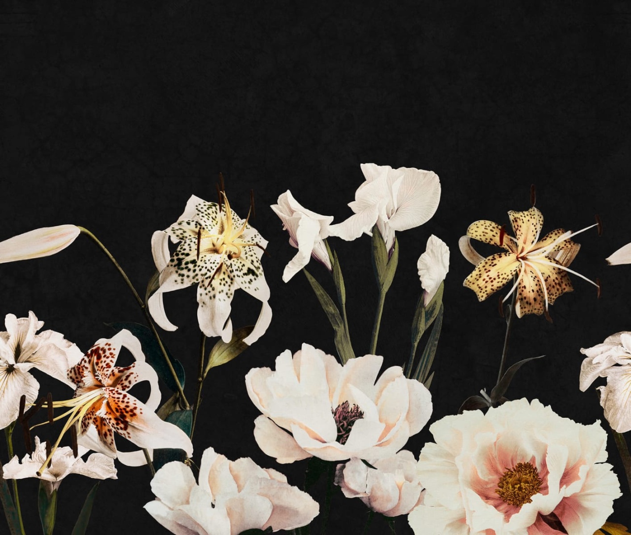 Fototapet, Dramatic Bouquet, Black, Rebel Walls - 2