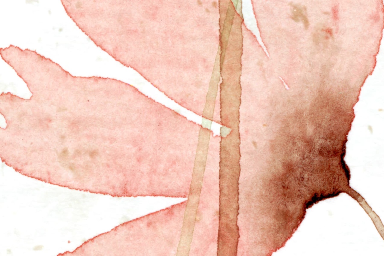 Fototapet, Dreamy Meadow, Red, Rebel Walls - 4
