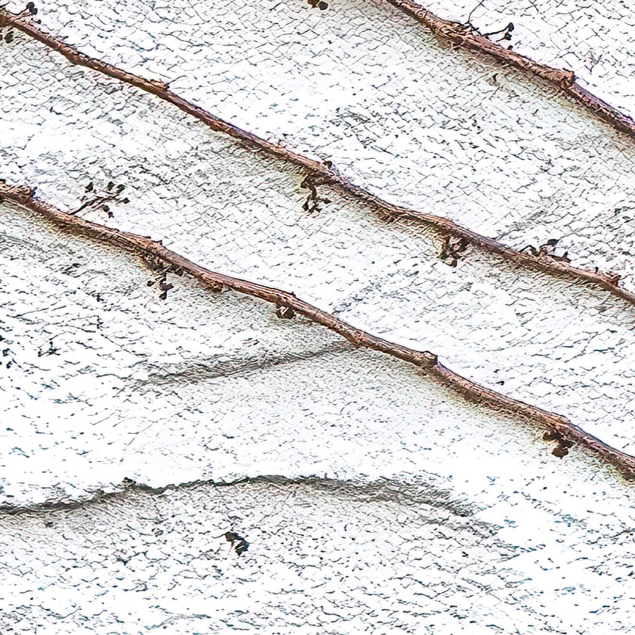 Fototapet, Fade Away, Rebel Walls - 3