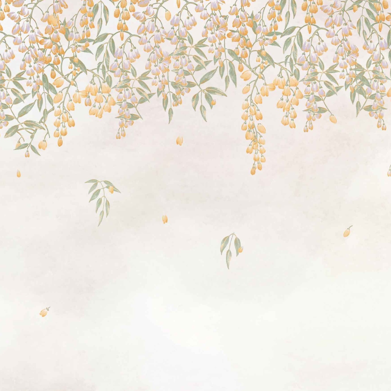 Fototapet floral, Manuela Curcuma, Coordonne - 2