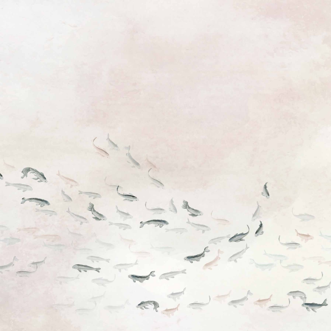 Fototapet Koi, Swan, Coordonne - 2