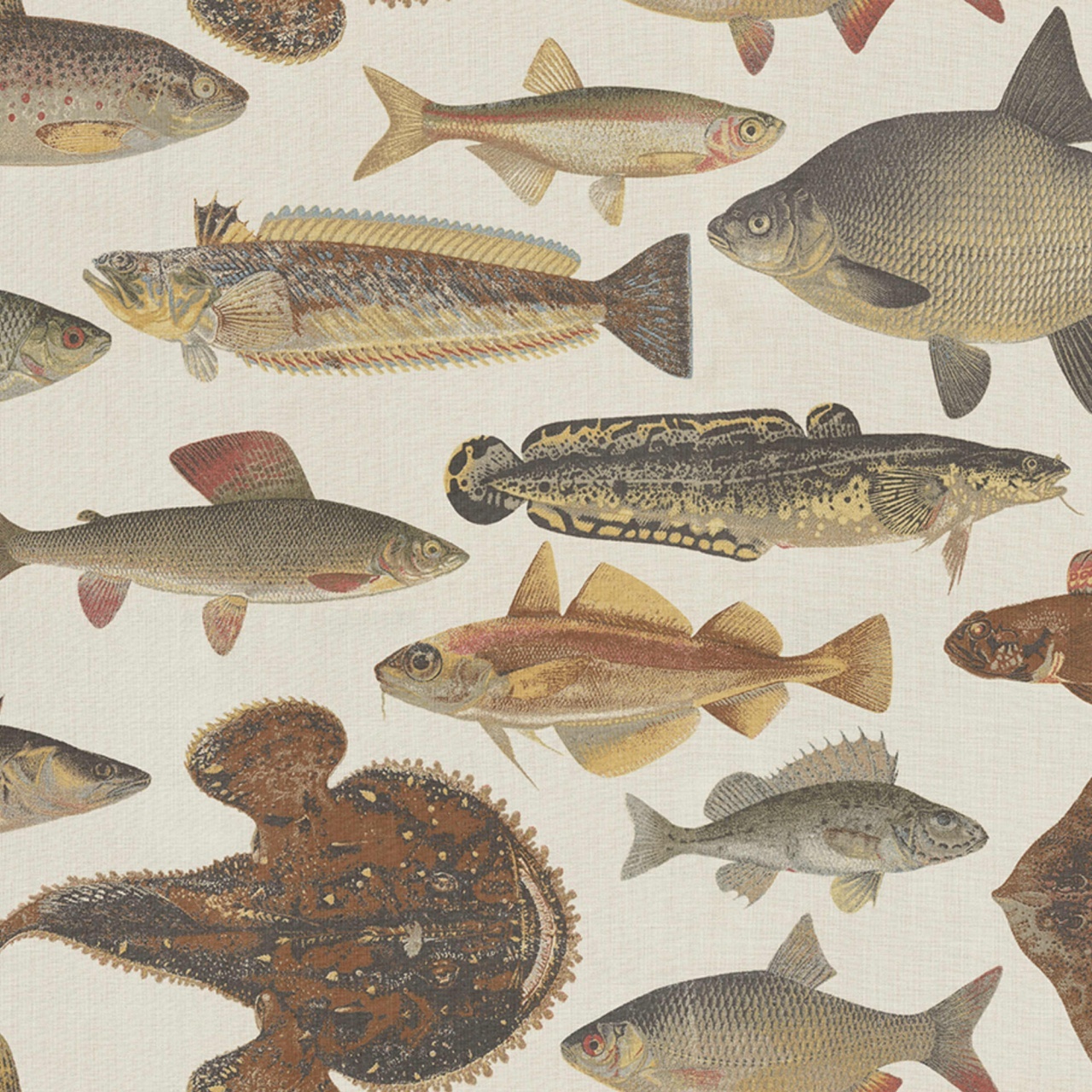 Fototapet lavabil, Scandinavian Fish, Beige, Sandberg - 2