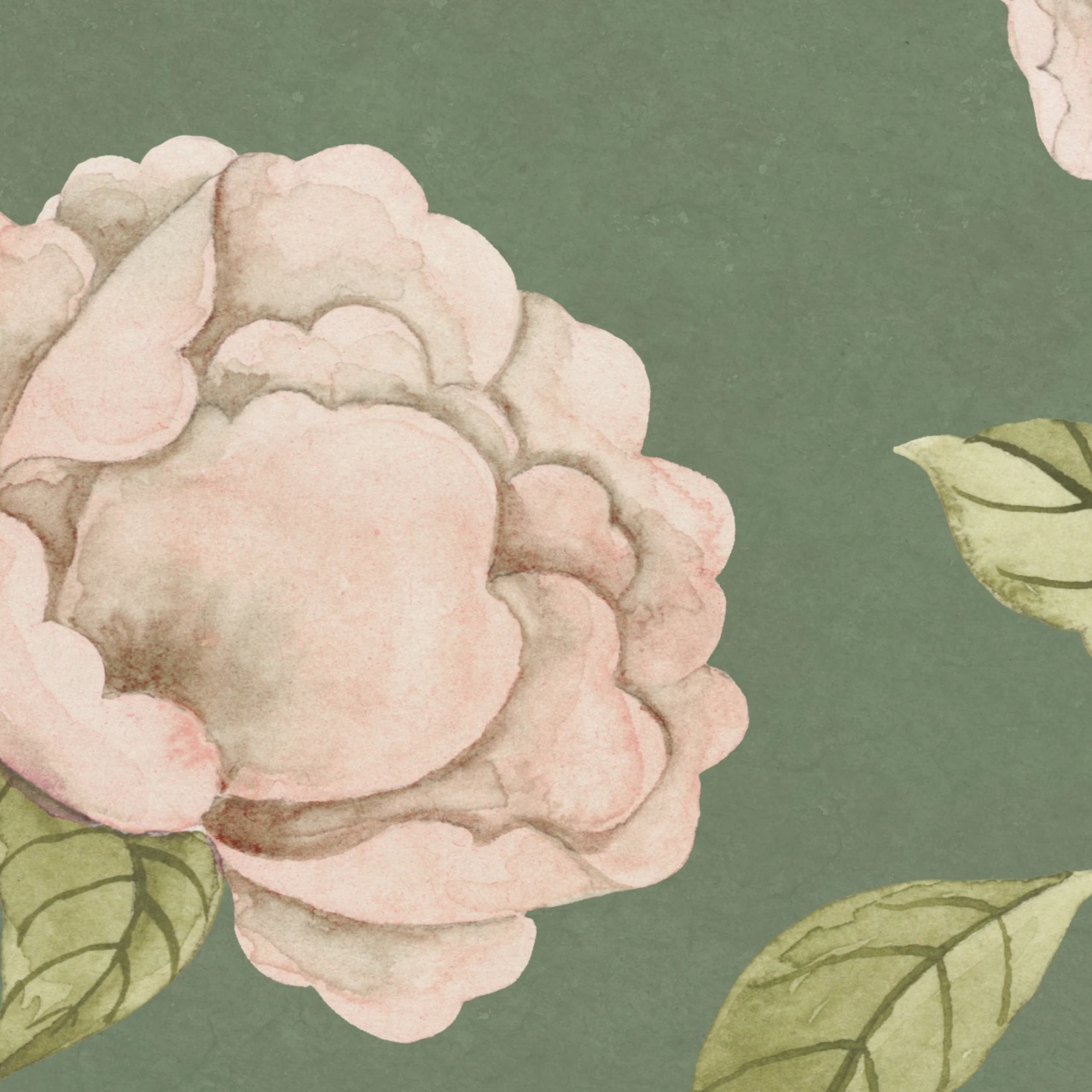 Fototapet, Peony Bloom, Green, Rebel Walls - 4