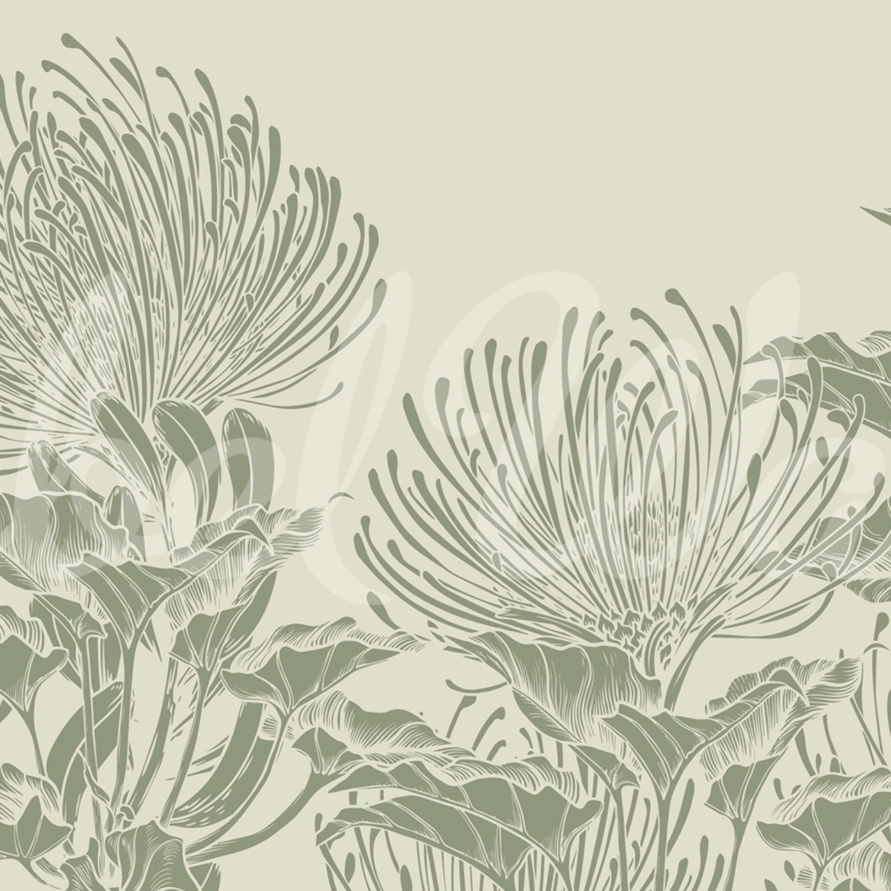 Fototapet, Protea Bloom, Soft Green, Rebel Walls - 2
