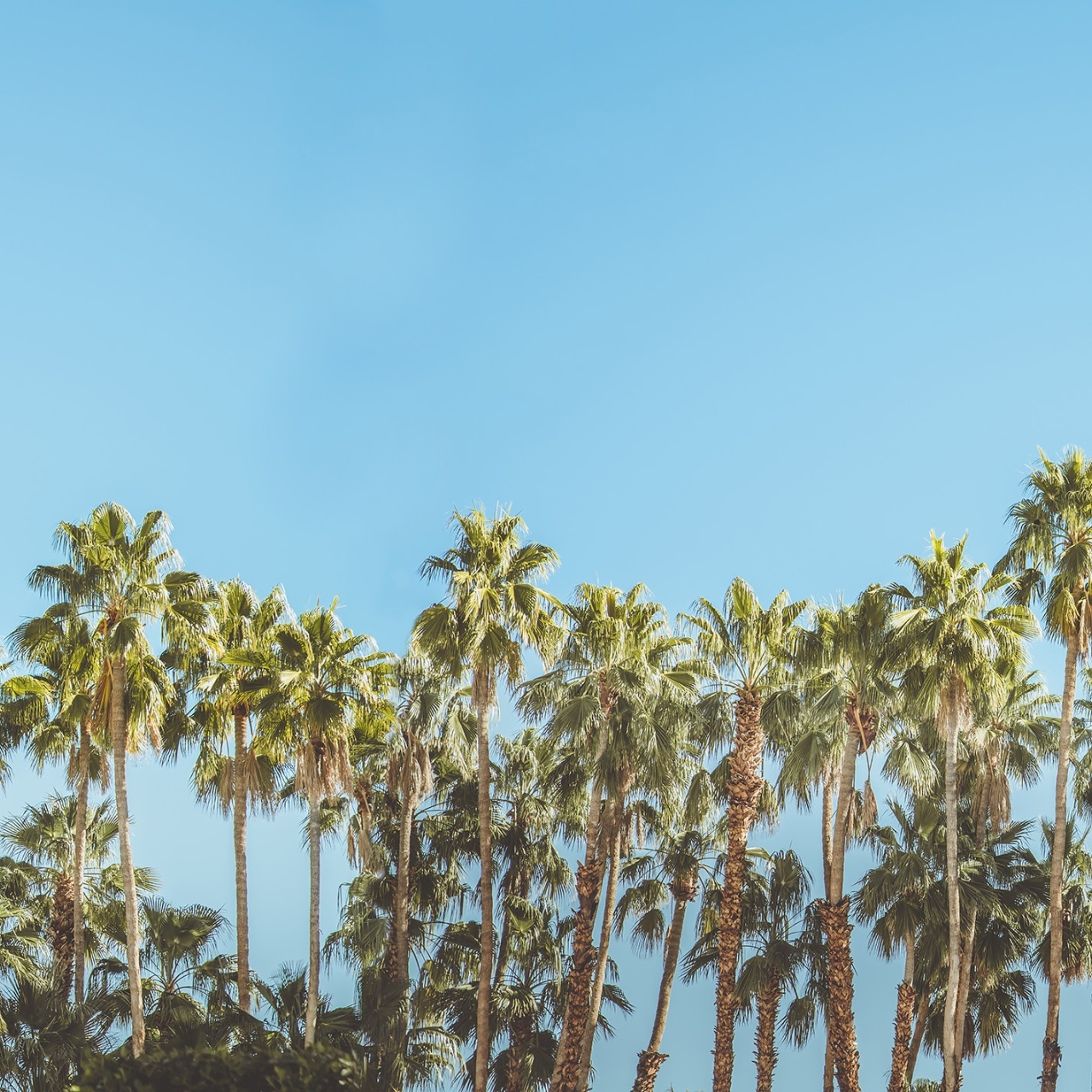 Fototapet, Riviera Daydream, Rebel Walls - 2