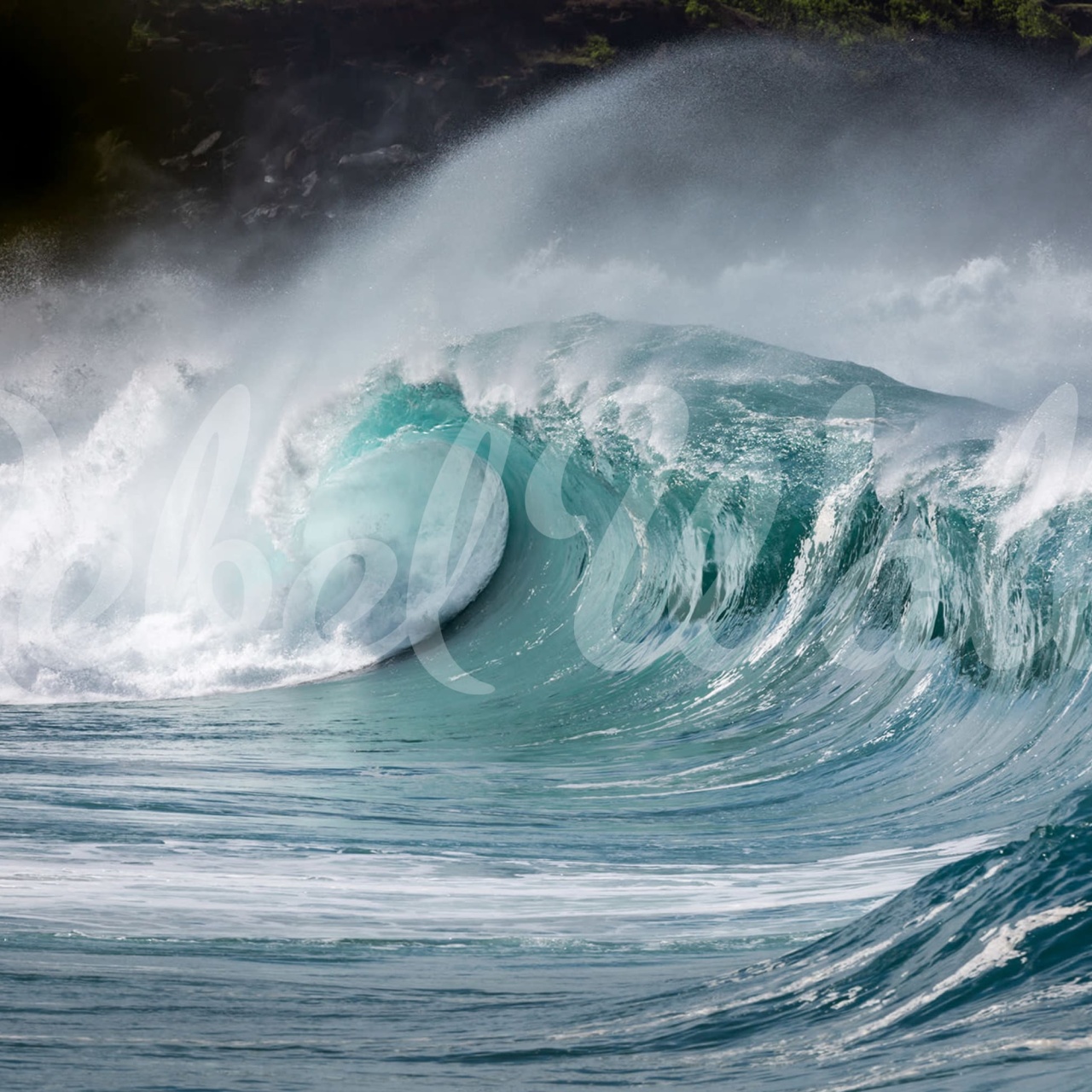 Fototapet, Single Wave, Rebel Walls - 2