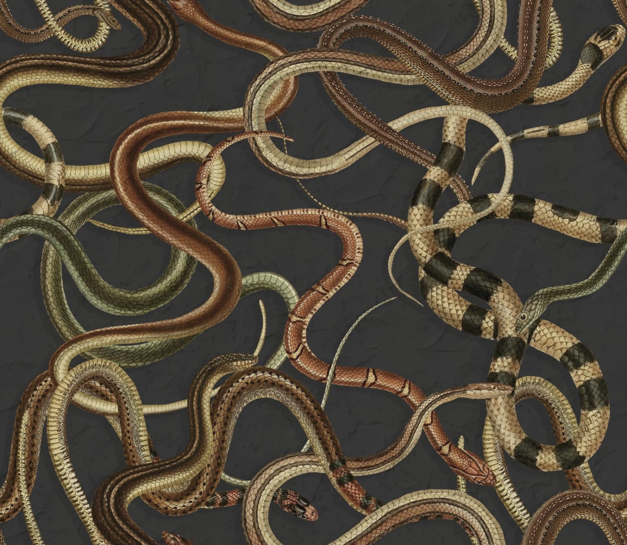 Fototapet, Snakey, Black, Rebel Walls - 2