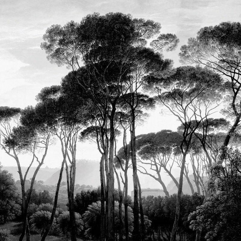 Fototapet Taormina Pines, VLAdiLA - 2