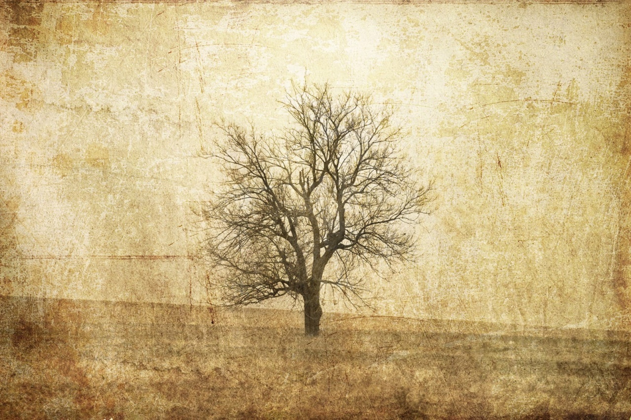 Fototapet, The Lonely Tree, Rebel Walls - 2