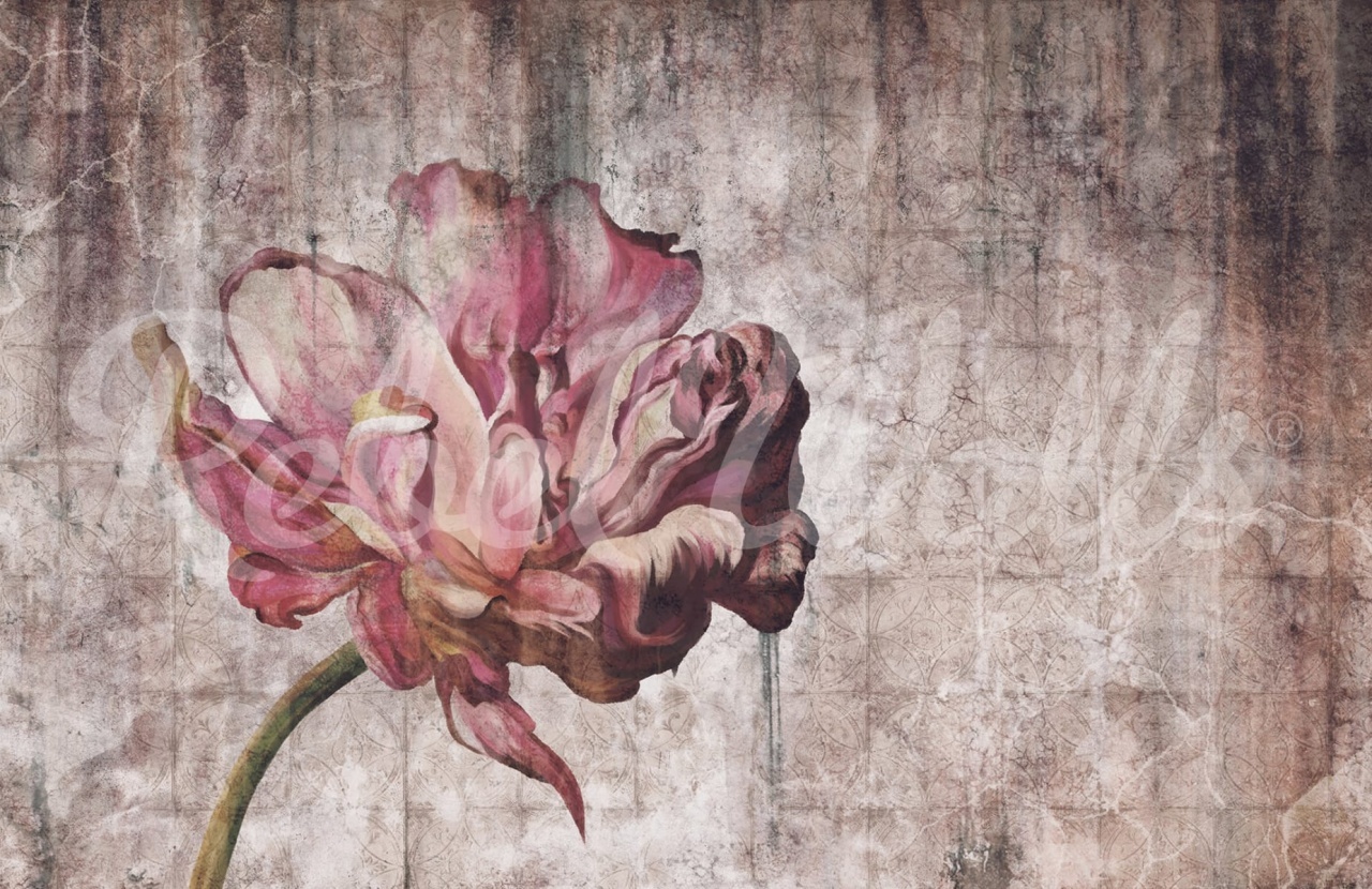 Fototapet, Vintage Tulip, Rebel Walls - 2