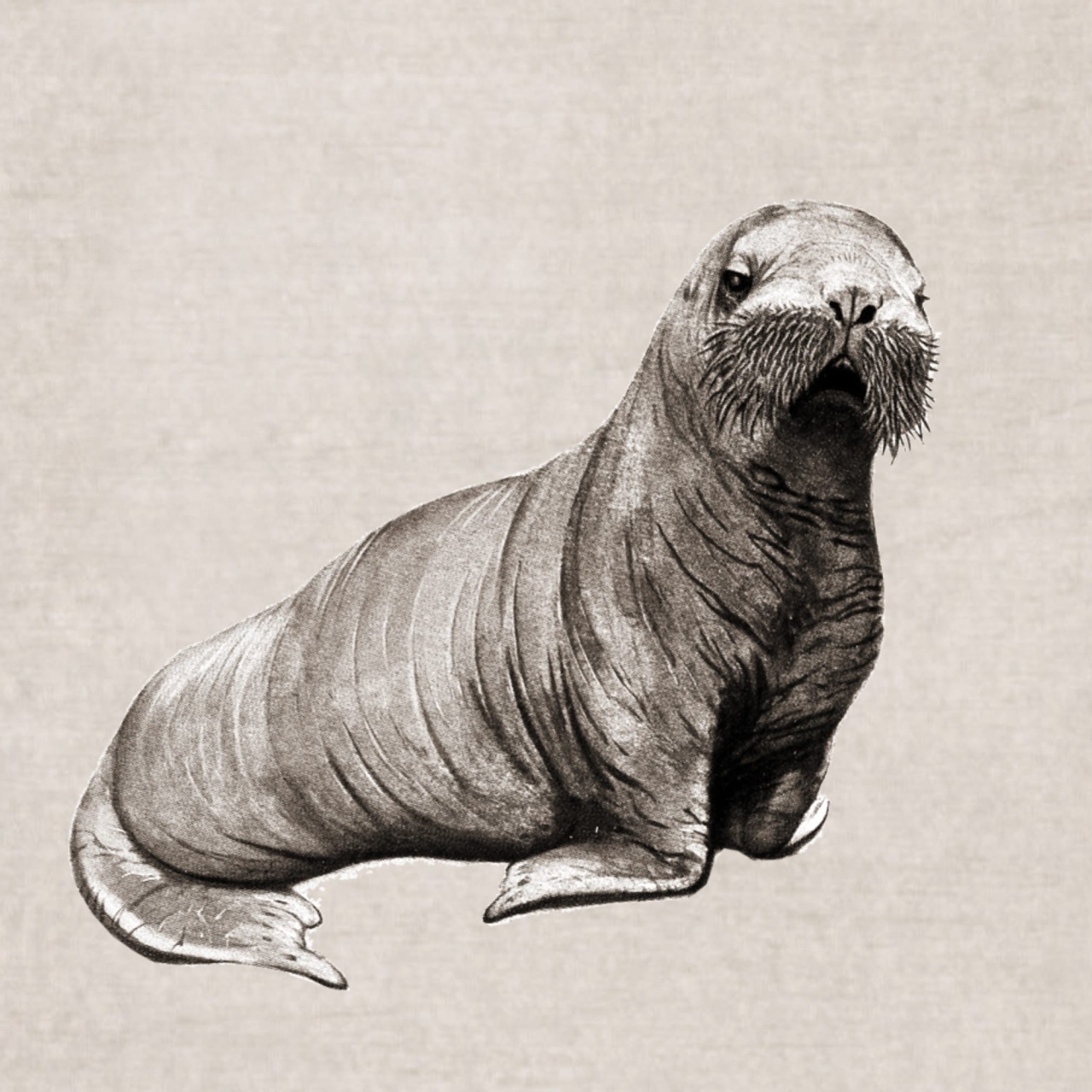 Fototapet, Wildlife, Sand, Rebel Walls - 3