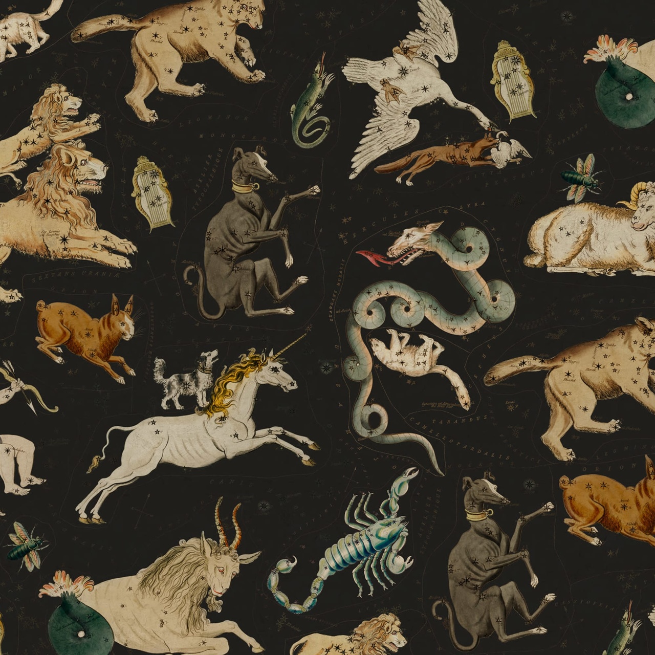 Fototapet, Zodiac, Night, Rebel Walls - 2