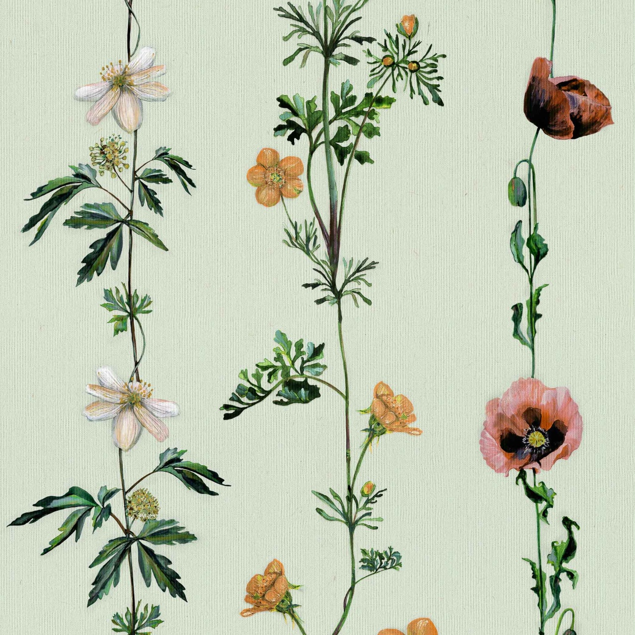 Tapet Climbing Flowers, Melon, Coordonne 5mp / rola - 2